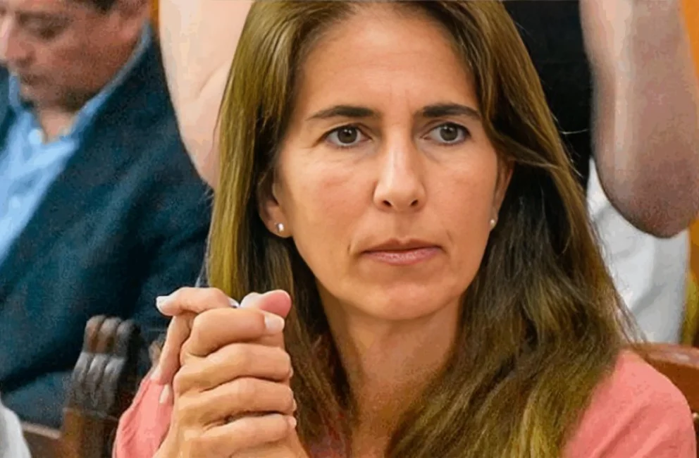 Diputada Socorro Villamayor