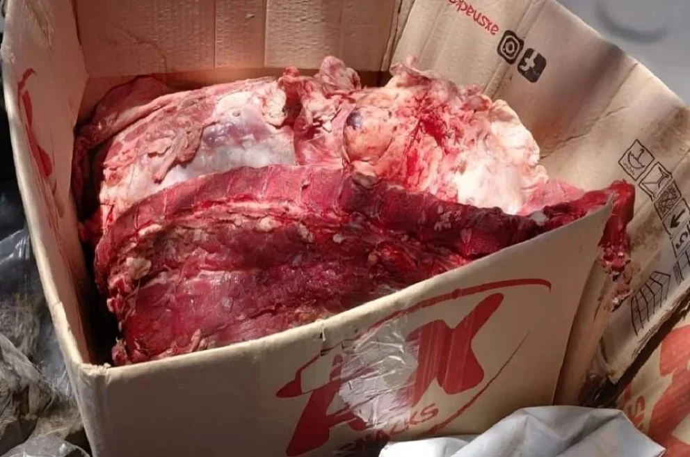 En un allanamiento por abigeato la Policía secuestró carne vacuna.
