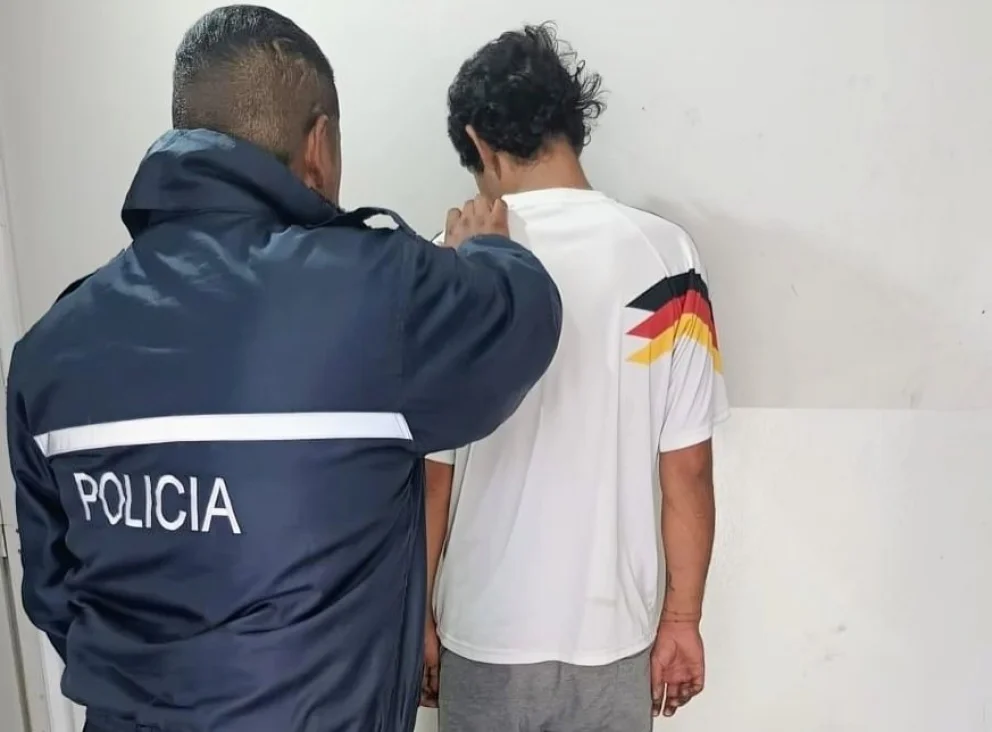Dos meses más de cárcel para un joven que les robó a sus vecinos con un chango de bebé y fingió llevar a una criatura
