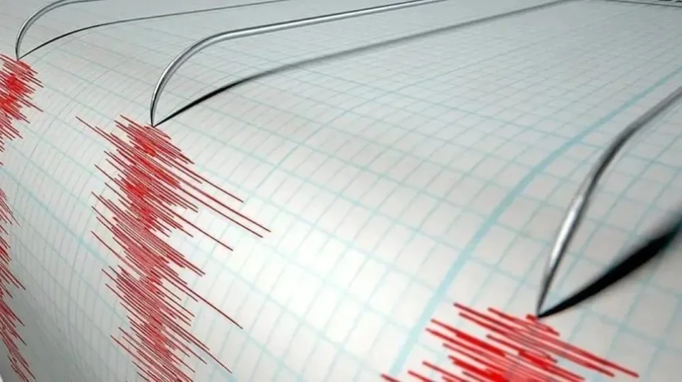 Un fuerte sismo en Chile se sintió en varias provincias argentinas: ¿hubo movimiento en San Luis?
