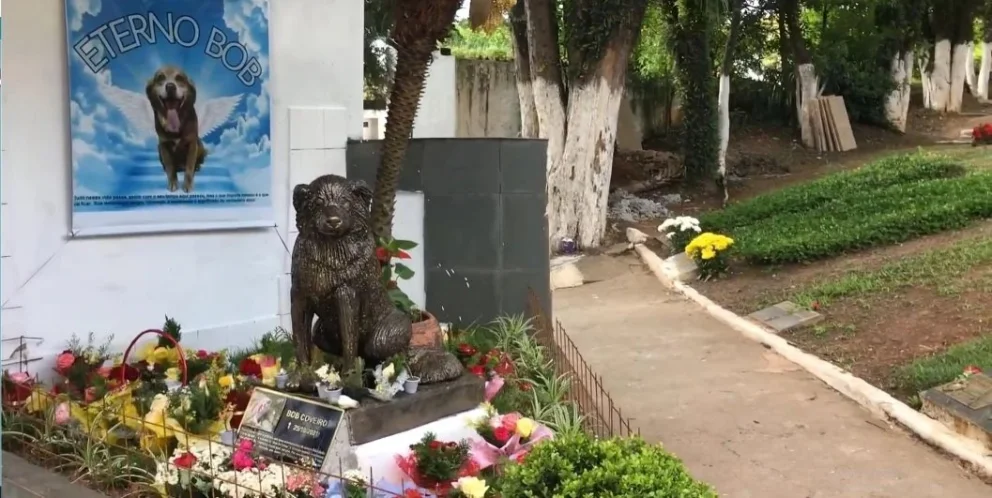 Precedente histórico en Brasil: autorizan el entierro de mascotas junto a sus familiares tras una conmovedora historia
