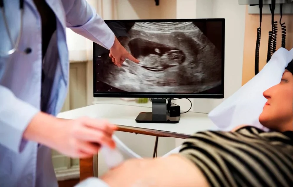 Descubren una célula uterina desconocida que reacciona al cannabis y explica complicaciones como la preeclampsia
