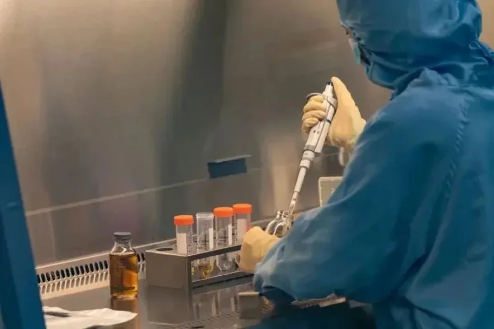 “Es increíble, como ciencia ficción”: los nuevos tratamientos con inmunoterapia que están eliminando el cáncer
