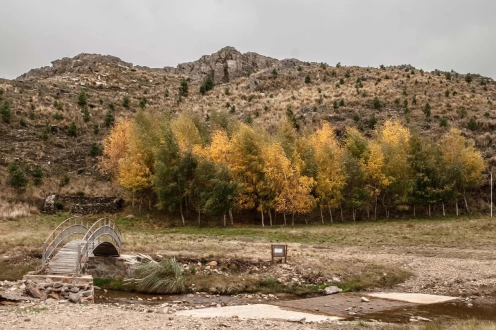 La jornada de este viernes será ventosa y alcanzará una máxima de 14°C
