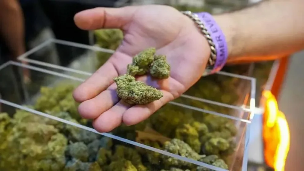 La llegada de un cargamento y la investigación policial que logró secuestrar 23 kilos de marihuana premium valuada en $345 millones  
