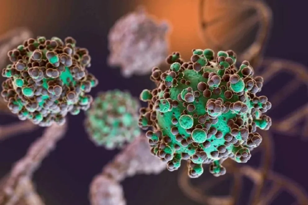 Hantavirus: el total de casos en Argentina asciende a 102
