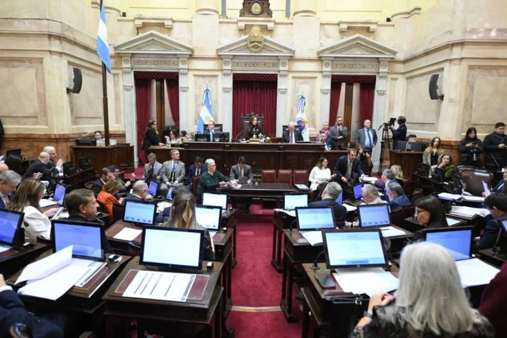 El Senado sancionó la prórroga del programa de entrega de armas
