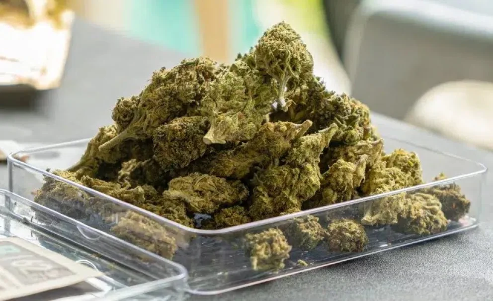 Villa Mercedes: lo interceptaron por circular sin luces y le encontraron varios envoltorios con marihuana
