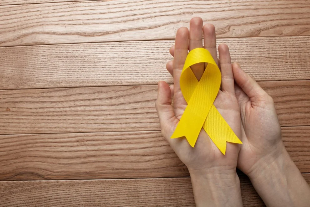 Prevención del suicidio: fortalecen en San Luis la asistencia y monitoreo de casos