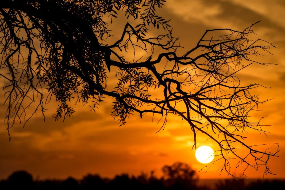 Anuncian un jueves con 14º de temperatura, pero ventoso
