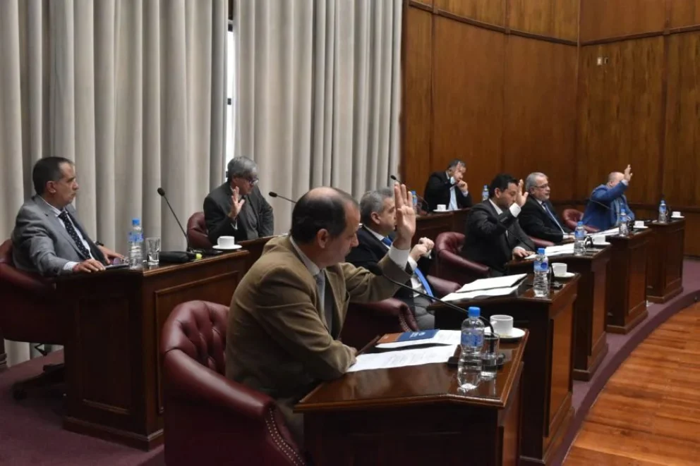 La Legislatura instituyó al Poncho Puntano como prenda oficial de la provincia

