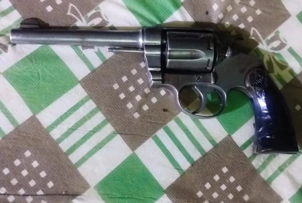 Secuestraron armas, municiones y plantas de marihuana durante una serie de allanamientos