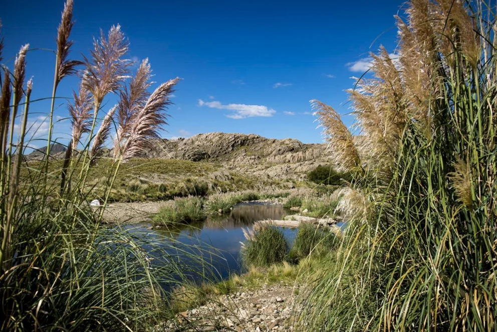 La mitad de la semana llega con un día primaveral para disfrutar al sol

