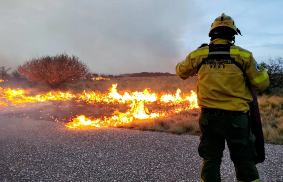 Los focos de incendios registrados en La Carolina y El Volcán han sido controlados (imagen de archivo)