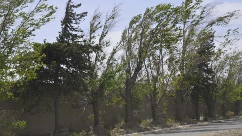 Se espera un jueves ventoso con descenso de las temperaturas
