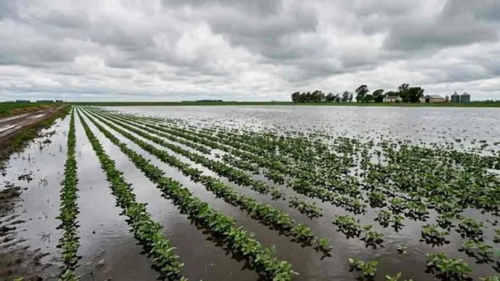 El Niño en San Luis: el campo se prepara con prevención, pero sin un escenario de alarma
